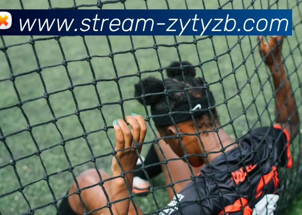 超艺体育直播平台生态图